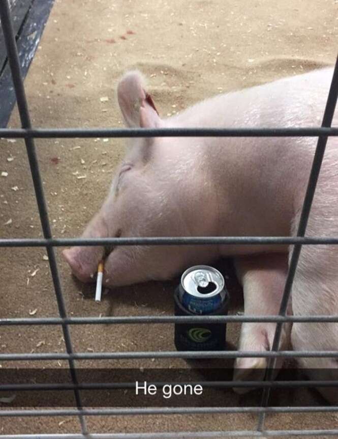34