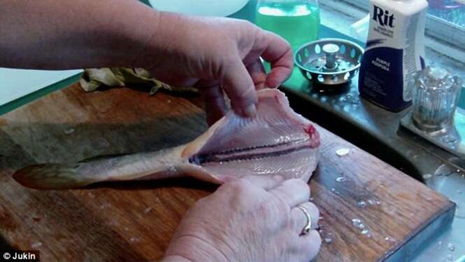 Vídeo flagra momento em que peixe tenta atacar mulher mesmo após ter sua cabeça arrancada 