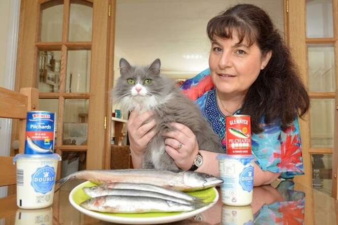 Conheça a gata que é alérgica a ser uma gata