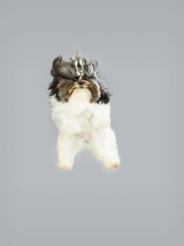 101