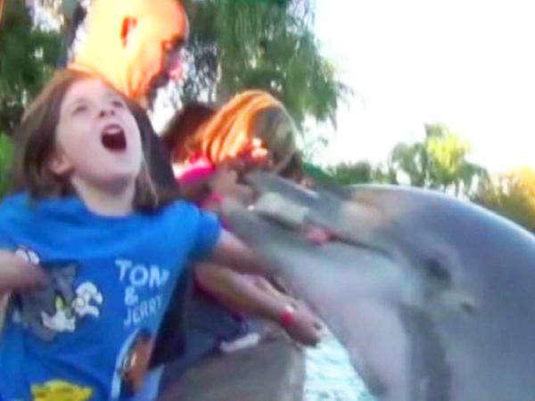 Animais que não têm muita paciência