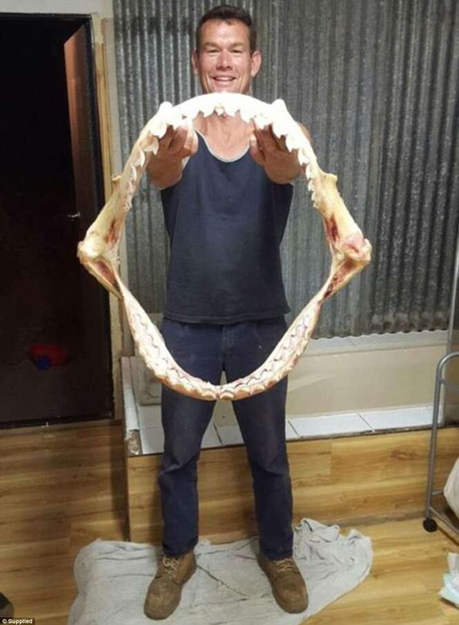 Pescador posa com mandíbulas gigantescas de tubarão-tigre de 6 metros