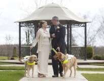 Cegos se casam após seus cães-guia se apaixonarem