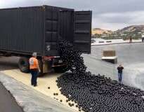 Prefeitura de Los Angeles joga milhares de bolas plásticas para conter evaporação de água em seus reservatórios