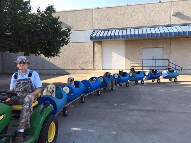 Aposentado constrói “trenzinho” para passear com seus cães