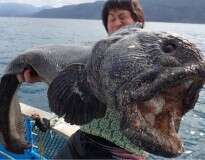 Pescadores ficam chocados ao capturar peixe alienígena próximo de ilha japonesa