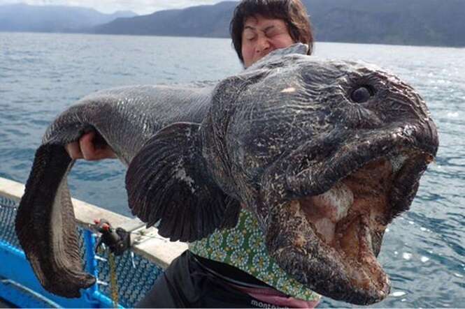 Pescadores ficam chocados ao capturar peixe alienígena