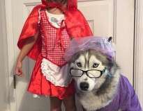 33 cães usando trajes curiosos para o Halloween