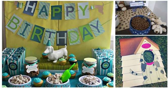 Ideias curiosas para comemorar o aniversário de seu cãozinho