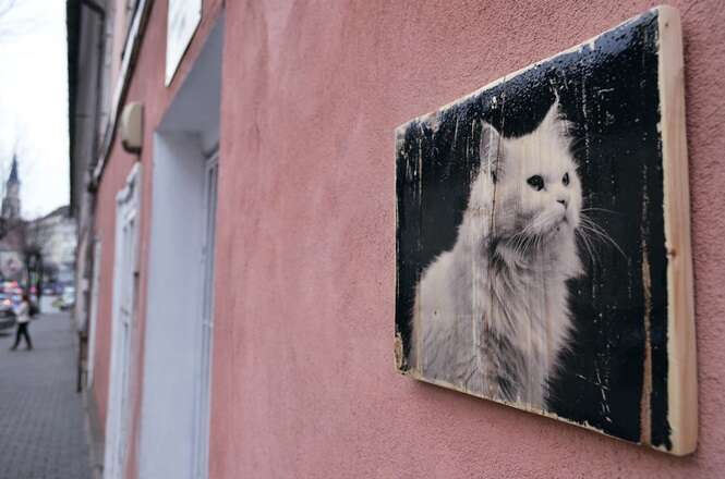 Fotógrafa transforma fotos em quadros de madeira