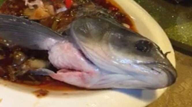 Clientes quase vomitam após peixe cozido começar a se mover