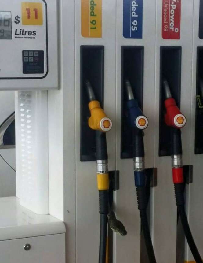 Petrol Pump gas station