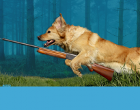 Cão chamado Gatilho dispara arma e acerta seu proprietário durante caça