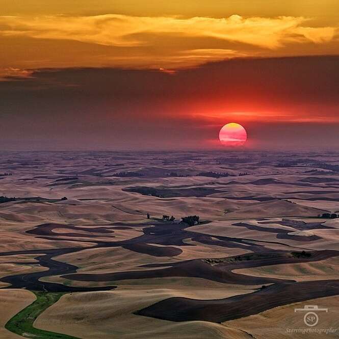 Lindas imagens da natureza que vão inspirar seu dia