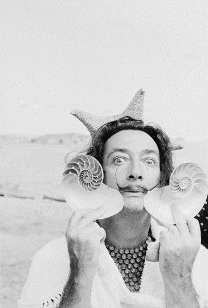 Dali With Shells