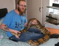 Homem leva enorme susto ao acordar e encontrar 36 cobras ao lado de sua cama após seu réptil de estimação dar à luz