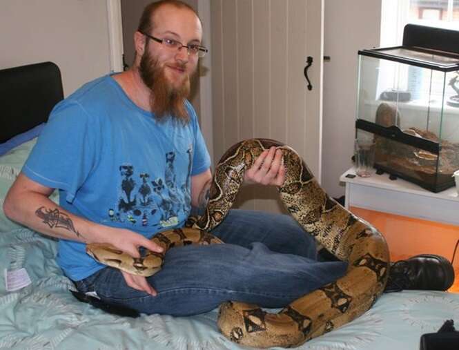 Homem leva enorme susto ao acordar e encontrar 36 cobras ao lado de sua cama