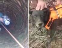 Vídeo mostra momento em que cão cego é resgatado de dentro de poço após passar 1 mês vivendo no local