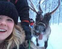 Mulher captura provável melhor selfie deste Natal ao lado de rena do Papai Noel