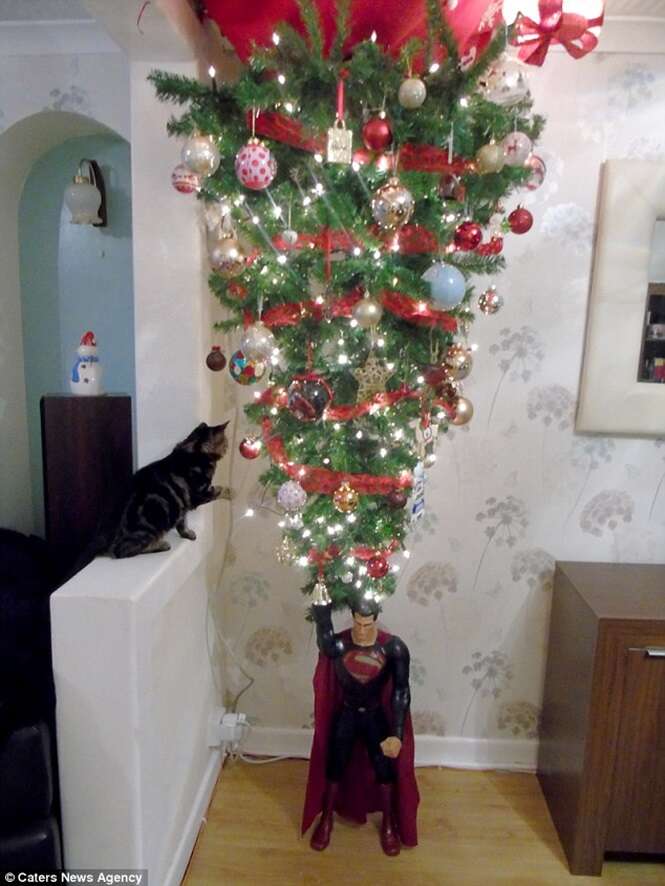 Família monta árvore de Natal de cabeça para baixo para evitar que gato de  estimação a destrua e ideia faz sucesso no Facebook