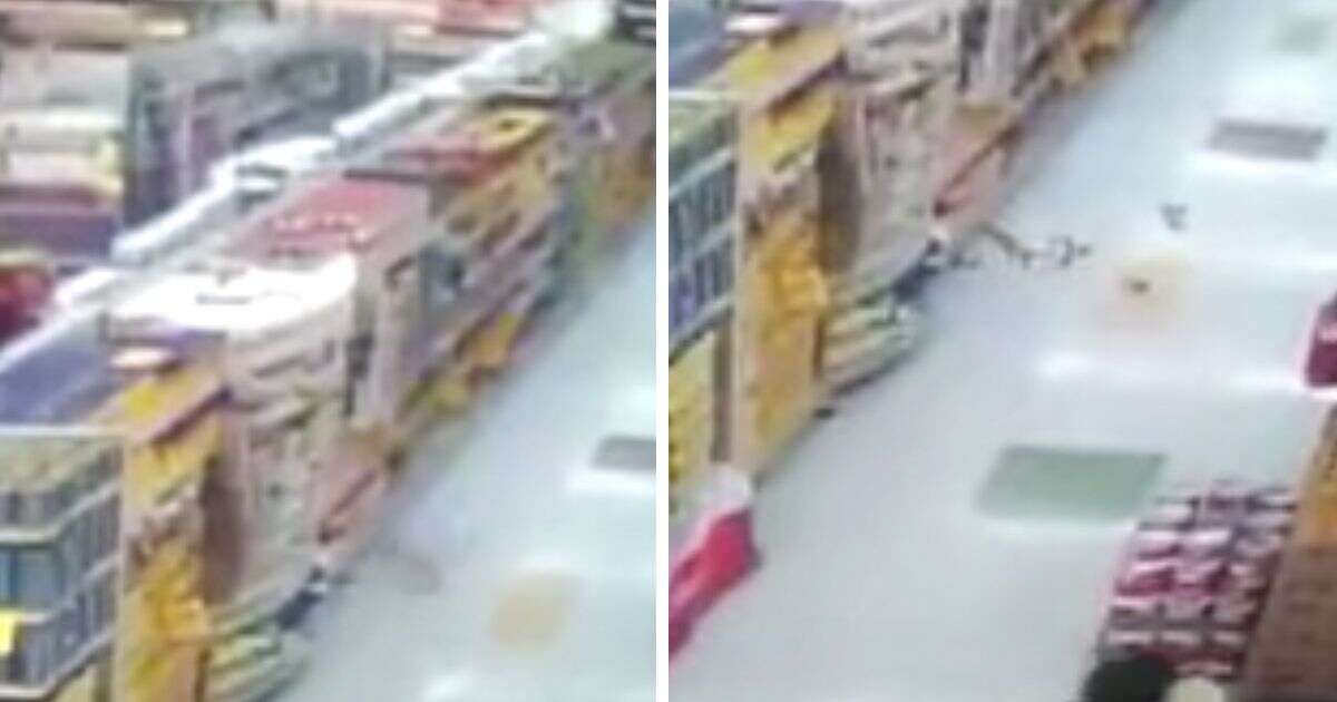 Vídeo assustador mostra momento em que pacotes de alimentos caem de prateleira de supermercado