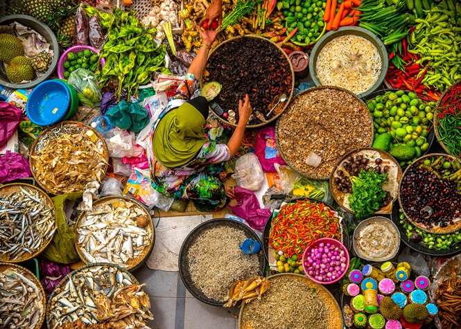 Fotos premiadas pela National Geographic em 2015