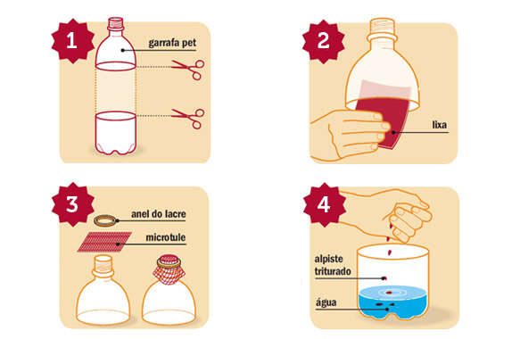 Como usar garrafa PET para eliminar o mosquito da dengue de sua vida?