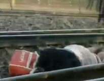 Vídeo: Mulher milagrosamente sobrevive ao cair em trilhos de trem antes de 56 vagões passarem por cima de seu corpo