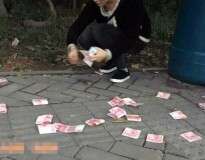 Homem joga quase 7 mil reais para o alto e pedestres recolhem tudo para entregar à polícia na China