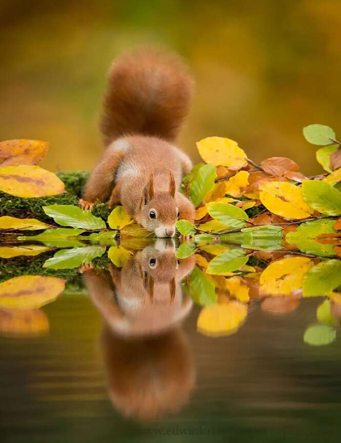 Foto: Edwin Kats