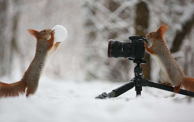 Foto: Vadim Trunov