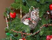 15 gatos que destruíram as árvores do último Natal