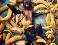 12 motivos para você comer banana diariamente