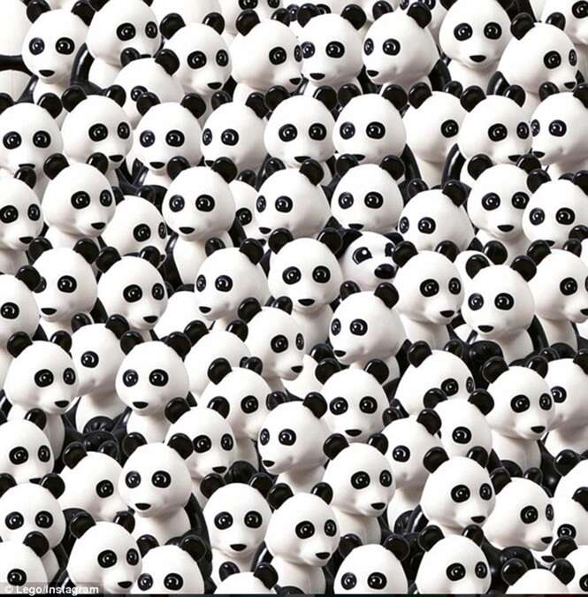 Você consegue encontrar o cão escondido no meio de vários pandas?