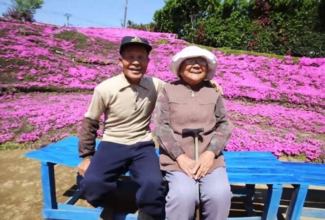 Marido planta milhares de flores em volta de casa para presentear esposa cega