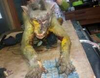 Macaco morre após ter seu corpo encharcado por ácido