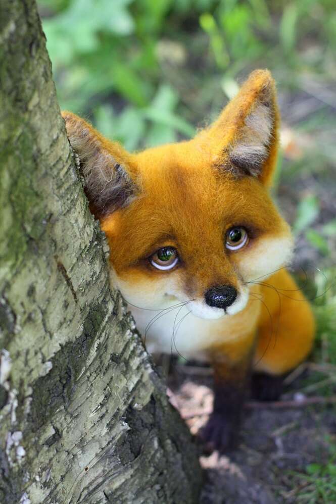 Foto: BoredPanda