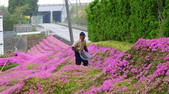 Foto: Matsumoto/Facebook