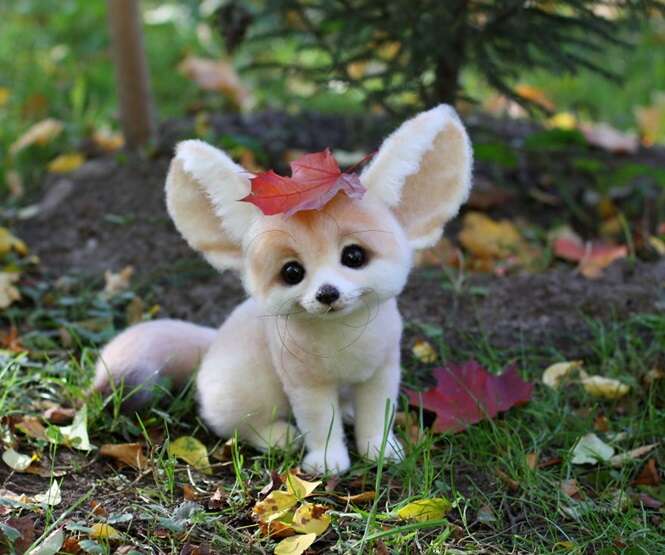 Foto: BoredPanda