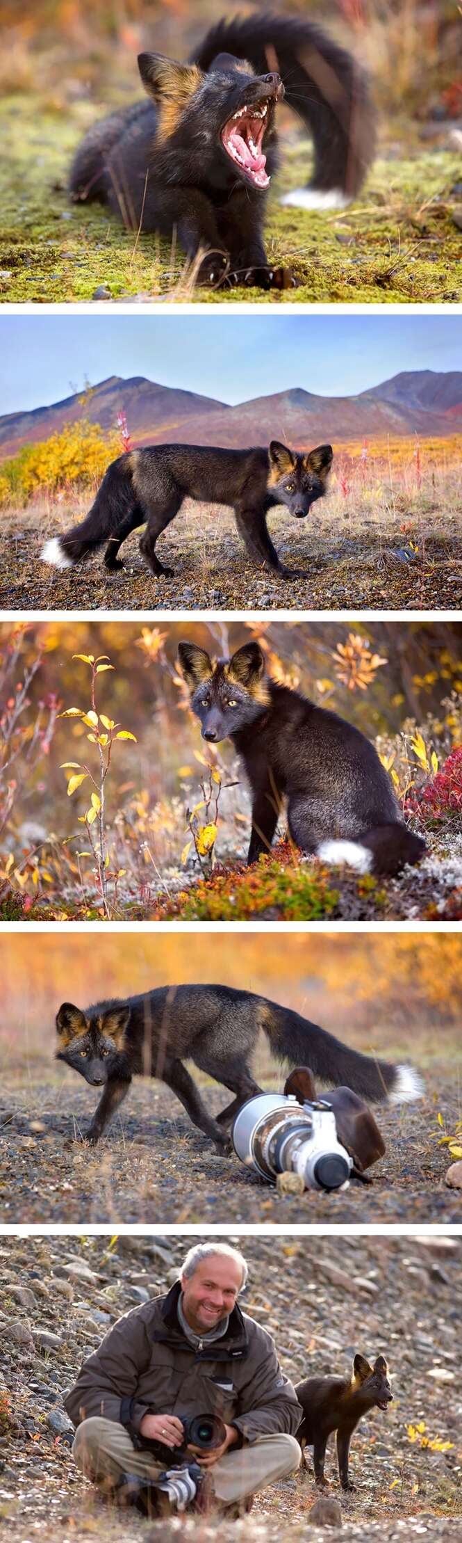 Foto: BoredPanda