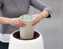 Urna biodegradável vai te transformar em árvore após sua morte