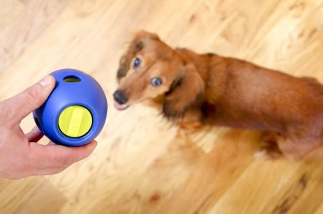 Brinquedinho promete entreter seu cão por um bom tempo