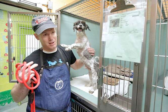 Homem oferece cortes gratuitos a cães de abrigo