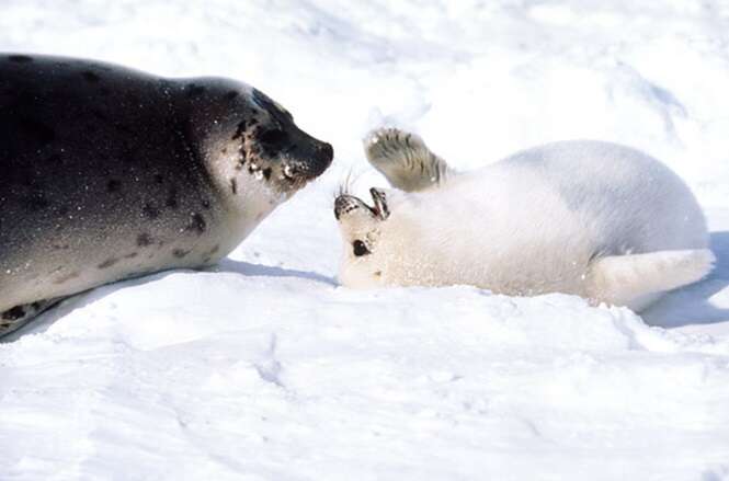 Foto: Tom Brakefield/Corbis 