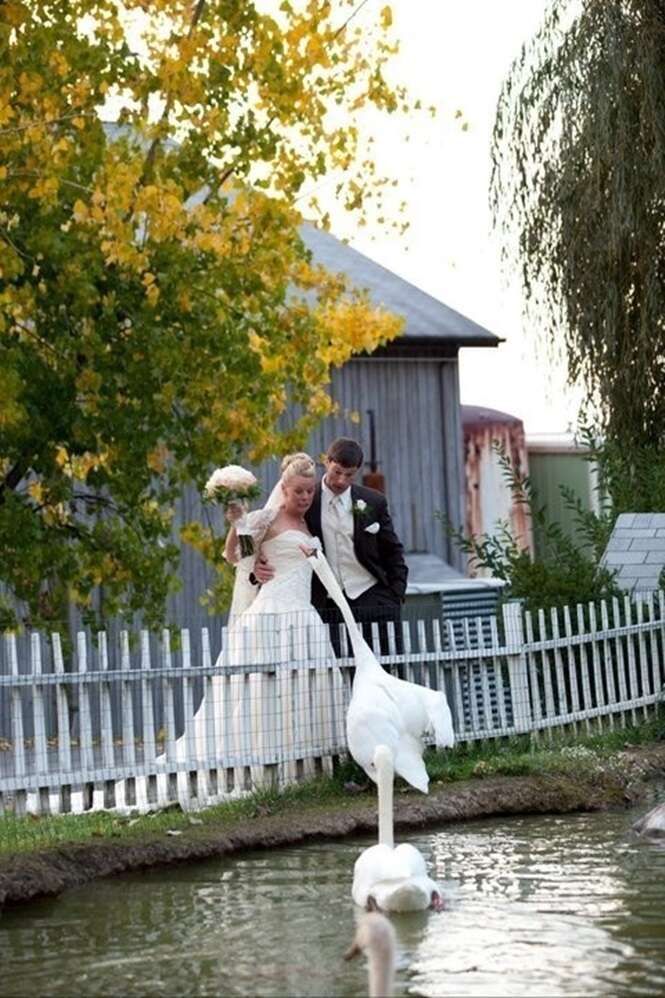 awkward wedding pictures