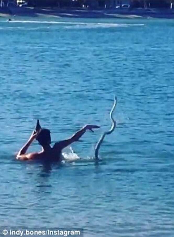 Vídeo chocante mostra homem nadando em rio enquanto jogava cobra para o alto e bebia cerveja