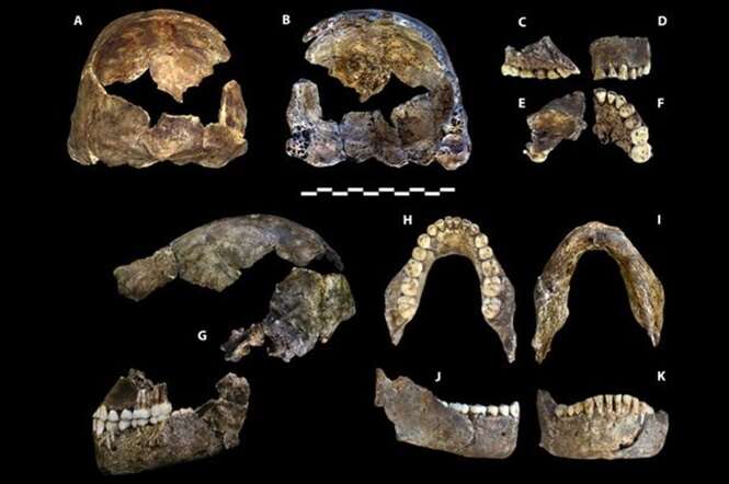 Cientistas descobrem espécie humana desconhecida