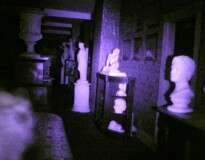 Gravação capta momento em que fantasma de cão começa a latir durante sessão espírita em mansão assombrada