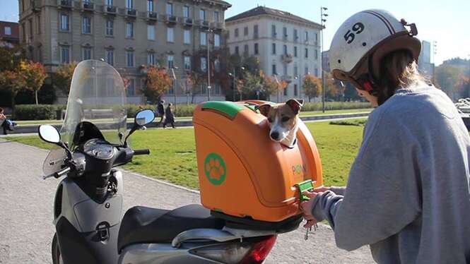 Empresa pensa nos animais ao criar modelo de caixa transportadora de cães para motos