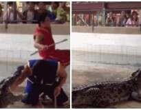 Vídeo: Homem cai em piscina cheia de crocodilos após caminhar na borda durante exibição em zoológico